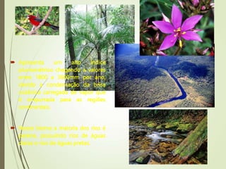  Apresenta um alto índice
pluviométrico chegando a valores
entre 1800 a 3600mm por ano,
devido a condensação da brisa
oceânica carregada de vapor que
é empurrada para as regiões
continentais.
 Nesse bioma a maioria dos rios é
perene, possuindo rios de águas
claras e rios de águas pretas.
 