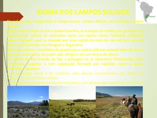 BIOMA DOS CAMPOS SULINOS
No sul do país, a vegetação é composta por campos limpos, as chamadas estepes
úmidas.
Entre o Rio Grande do Sul e Santa Catarina, os Campos formados por gramíneas e
leguminosas nativas se estendem como um tapete verde, também conhecida
como “Pampa”, que se estende por uma região de mais de 200 mil km2 que vai
além das fronteiras com Uruguai e Argentina.
São áreas planas, revestidas de gramíneas e outras plantas encontradas de forma
escassa, como tufos de capim que atingem até um metro de altura.
No litoral do Rio Grande do Sul, a paisagem já se apresenta diferenciada, com
ambientes alagados e com vegetação formada por espécies como o junco,
gravatás e aguapés.
A precipitação anual é de 1200mm, com chuvas concentradas nos meses de
inverno. O clima é frio e úmido.
A vegetação predominantemente herbácea, com alturas que variam de 10 a 50 cm.
 