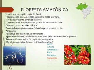 FLORESTA AMAZÔNICA
Localiza-se na região norte do Brasil
Precipitações pluviométricas superior a 1.800 mm/ano
Floresta apresenta diversos estratos
O estrato mais alto localiza-se 30 m e 60 m acima do solo
Ocupam zonas de baixa latitude
Dominadas por plantas com folhas largas e sempre verdes
Amazônia
Pouca luz penetra no chão da floresta
Apresentam raízes tabulares responsáveis pela sustentação das plantas
Árvore mais conhecida da região é a seringueira
São abundantes também as epífitas (bromélias)
Acre
Amapá
Amazonas
Pára
Roraima
Rondônia
Maranhão
Tocantins
Mato Grosso
 