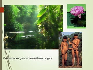 Concentram-se grandes comunidades indígenas
 