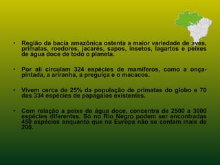 • Região da bacia amazônica ostenta a maior variedade de aves,
primatas, roedores, jacarés, sapos, insetos, lagartos e peixes
de água doce de todo o planeta.
• Por ali circulam 324 espécies de mamíferos, como a onça-
pintada, a ariranha, a preguiça e o macacos.
• Vivem cerca de 25% da população de primatas do globo e 70
das 334 espécies de papagaios existentes.
• Com relação a peixe de água doce, concentra de 2500 a 3000
espécies diferentes. Só no Rio Negro podem ser encontradas
450 espécies enquanto que na Europa não se contam mais de
200.
 