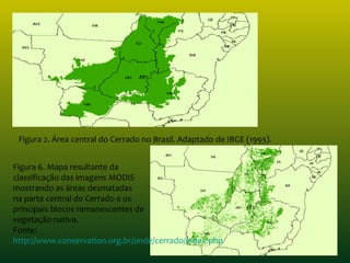 Figura 2. Área central do Cerrado no Brasil. Adaptado de IBGE (1993).
Figura 6. Mapa resultante da 
classificação das imagens MODIS 
mostrando as áreas desmatadas
na parte central do Cerrado e os 
principais blocos remanescentes de 
vegetação nativa.
Fonte: 
http://www.conservation.org.br/onde/cerrado/index.php
 
 