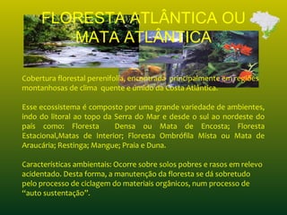 FLORESTA ATLÂNTICA OU
MATA ATLÂNTICA
Cobertura florestal perenifolia, encontrada principalmente em regiões
montanhosas de clima quente e úmido da Costa Atlântica.
Esse ecossistema é composto por uma grande variedade de ambientes,
indo do litoral ao topo da Serra do Mar e desde o sul ao nordeste do
país como: Floresta Densa ou Mata de Encosta; Floresta
Estacional,Matas de Interior; Floresta Ombrófila Mista ou Mata de
Araucária; Restinga; Mangue; Praia e Duna.
Características ambientais: Ocorre sobre solos pobres e rasos em relevo
acidentado. Desta forma, a manutenção da floresta se dá sobretudo
pelo processo de ciclagem do materiais orgânicos, num processo de
“auto sustentação”.
 