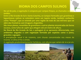 BIOMA DOS CAMPOS SULINOS
No sul do país, a vegetação é composta por campos limpos, as chamadas estepes
úmidas.
Entre o Rio Grande do Sul e Santa Catarina, os Campos formados por gramíneas e
leguminosas nativas se estendem como um tapete verde, também conhecida
como “Pampa”, que se estende por uma região de mais de 200 mil km2 que vai
além das fronteiras com Uruguai e Argentina.
São áreas planas, revestidas de gramíneas e outras plantas encontradas de forma
escassa, como tufos de capim que atingem até um metro de altura.
No litoral do Rio Grande do Sul, a paisagem já se apresenta diferenciada, com
ambientes alagados e com vegetação formada por espécies como o junco,
gravatás e aguapés.
A precipitação anual é de 1200mm, com chuvas concentradas nos meses de
inverno. O clima é frio e úmido.
A vegetação predominantemente herbácea, com alturas que variam de 10 a 50 cm.
 