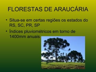 FLORESTAS DE ARAUCÁRIA
• Situa-se em certas regiões os estados do
RS, SC, PR, SP
• Índices pluviométricos em torno de
1400mm anuais
 