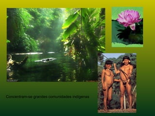 Concentram-se grandes comunidades indígenas
 