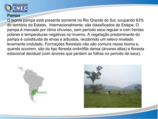 Biomas brasileiros | PPT