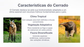 Características do Cerrado
O Cerrado destaca-se pela sua biodiversidade adaptada a um
clima sazonal com recursos hídricos fundamentais para o país.
Clima Tropical
Com estação seca bem definida e chuvas
concentradas.
Vegetação Adaptativa
Flora resistente ao fogo e capaz
de sobreviver em solos pobres.
Fauna Diversificada
Incluindo espécies
endêmicas, sobreviventes
das variações climáticas.
 