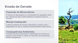 Erosão do Cerrado
Expansão de Monoculturas
O avanço do agronegócio e a substituição da vegetação nativa
por culturas de soja e milho aceleram a erosão do solo no
Cerrado.
Manejo Inadequado
A falta de práticas de manejo sustentáveis contribui para a
degradação do solo e a perda da biodiversidade nesse bioma.
Consequências Ambientais
A erosão do solo compromete a capacidade do Cerrado em
regular o ciclo hídrico e manter as nascentes de importantes
bacias hidrográficas.
 
