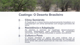 Caatinga: O Deserto Brasileiro
1 Clima Semiárido
A Caatinga é o único bioma exclusivamente brasileiro e é
marcada por um clima semiárido com longos períodos de
seca.
2 Resistência e Adaptação
As plantas e animais da Caatinga desenvolveram
incríveis adaptações para sobreviver às condições
adversas, como folhas reduzidas e caules suculentos.
3 Cultura e Povo
O bioma também é palco de uma cultura rica e
diversificada, onde as práticas tradicionais de manejo da
terra ainda são parte essencial da vida das comunidades
locais.
 