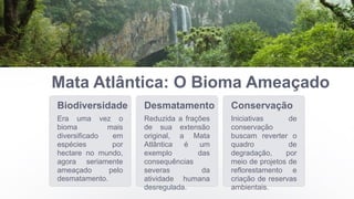 Mata Atlântica: O Bioma Ameaçado
Biodiversidade
Era uma vez o
bioma mais
diversificado em
espécies por
hectare no mundo,
agora seriamente
ameaçado pelo
desmatamento.
Desmatamento
Reduzida a frações
de sua extensão
original, a Mata
Atlântica é um
exemplo das
consequências
severas da
atividade humana
desregulada.
Conservação
Iniciativas de
conservação
buscam reverter o
quadro de
degradação, por
meio de projetos de
reflorestamento e
criação de reservas
ambientais.
 