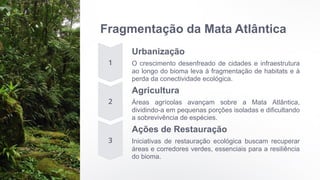 Fragmentação da Mata Atlântica
Urbanização
O crescimento desenfreado de cidades e infraestrutura
ao longo do bioma leva à fragmentação de habitats e à
perda da conectividade ecológica.
Agricultura
Áreas agrícolas avançam sobre a Mata Atlântica,
dividindo-a em pequenas porções isoladas e dificultando
a sobrevivência de espécies.
Ações de Restauração
Iniciativas de restauração ecológica buscam recuperar
áreas e corredores verdes, essenciais para a resiliência
do bioma.
 