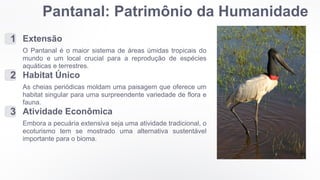 Pantanal: Patrimônio da Humanidade
1 Extensão
O Pantanal é o maior sistema de áreas úmidas tropicais do
mundo e um local crucial para a reprodução de espécies
aquáticas e terrestres.
2 Habitat Único
As cheias periódicas moldam uma paisagem que oferece um
habitat singular para uma surpreendente variedade de flora e
fauna.
3 Atividade Econômica
Embora a pecuária extensiva seja uma atividade tradicional, o
ecoturismo tem se mostrado uma alternativa sustentável
importante para o bioma.
 