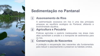 Sedimentação no Pantanal
1 Assoreamento de Rios
A sedimentação excessiva em rios é uma das principais
ameaças ao equilíbrio ecológico do Pantanal, afetando a
biodiversidade aquática.
2 Agricultura e Pecuária
Práticas agrícolas e pastoris inadequadas nas áreas mais
altas aumentam a erosão e o transporte de sedimentos para
os rios.
3 Conservação de Nascentes
A proteção e recuperação das nascentes são fundamentais
para reduzir o assoreamento e preservar os habitats úmidos.
 