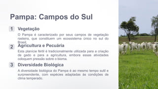 Pampa: Campos do Sul
1 Vegetação
O Pampa é caracterizado por seus campos de vegetação
rasteira, que constituem um ecossistema único no sul do
Brasil.
2 Agricultura e Pecuária
Esta planície fértil é tradicionalmente utilizada para a criação
de gado e para a agricultura, embora essas atividades
coloquem pressão sobre o bioma.
3 Diversidade Biológica
A diversidade biológica do Pampa é ao mesmo tempo sutil e
surpreendente, com espécies adaptadas às condições de
clima temperado.
 