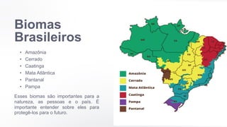 Biomas
Brasileiros
• Amazônia
• Cerrado
• Caatinga
• Mata Atlântica
• Pantanal
• Pampa
Esses biomas são importantes para a
natureza, as pessoas e o país. É
importante entender sobre eles para
protegê-los para o futuro.
 