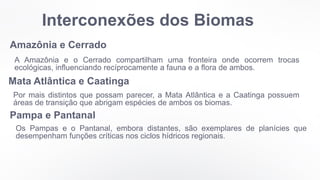Interconexões dos Biomas
Amazônia e Cerrado
A Amazônia e o Cerrado compartilham uma fronteira onde ocorrem trocas
ecológicas, influenciando recíprocamente a fauna e a flora de ambos.
Mata Atlântica e Caatinga
Por mais distintos que possam parecer, a Mata Atlântica e a Caatinga possuem
áreas de transição que abrigam espécies de ambos os biomas.
Pampa e Pantanal
Os Pampas e o Pantanal, embora distantes, são exemplares de planícies que
desempenham funções críticas nos ciclos hídricos regionais.
 