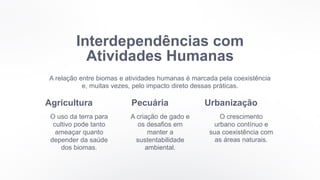 Interdependências com
Atividades Humanas
A relação entre biomas e atividades humanas é marcada pela coexistência
e, muitas vezes, pelo impacto direto dessas práticas.
Agricultura
O uso da terra para
cultivo pode tanto
ameaçar quanto
depender da saúde
dos biomas.
Pecuária
A criação de gado e
os desafios em
manter a
sustentabilidade
ambiental.
Urbanização
O crescimento
urbano contínuo e
sua coexistência com
as áreas naturais.
 