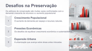 Desafios na Preservação
Os esforços de conservação são muitas vezes confrontados com a
demanda crescente de recursos e o aumento populacional.
Crescimento Populacional
O aumento da demanda por espaço e recursos naturais.
Pressões Econômicas
Os desafios de equilibrar crescimento econômico e sustentabilidade.
Expansão Urbana
A urbanização que avança sobre áreas antes intocadas.
 