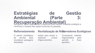 Estratégias de Gestão
Ambiental (Parte 3:
Recuperação Ambiental)
Recuperar áreas degradadas é essencial para restituir a saúde ecológica e
minimizar o impacto das ações humanas no passado.
Reflorestamento
O plantio estratégico
de árvores para
reverdecer paisagens
desoladas.
Revitalização de Rios
Ações para limpar e
restaurar cursos
d'água poluídos.
Corredores Ecológicos
Conectando habitats
fragmentados para
permitir o fluxo
genético.
 