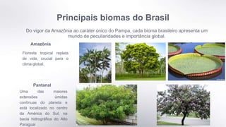 Principais biomas do Brasil
Do vigor da Amazônia ao caráter único do Pampa, cada bioma brasileiro apresenta um
mundo de peculiaridades e importância global.
Amazônia
Floresta tropical repleta
de vida, crucial para o
clima global.
Pantanal
Uma das maiores
extensões úmidas
contínuas do planeta e
está localizado no centro
da América do Sul, na
bacia hidrográfica do Alto
Paraguai
 
