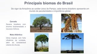 Principais biomas do Brasil
Do vigor da Amazônia ao caráter único do Pampa, cada bioma brasileiro apresenta um
mundo de peculiaridades e importância global.
Cerrado
Savana brasileira com
enorme biodiversidade e
recursos hídricos.
Mata Atlântica
Clima tropical, com forte
influência da umidade,
além do considerável
volume de chuvas.
 