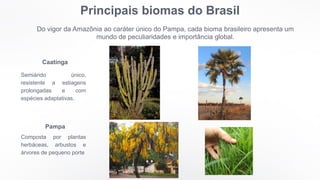 Principais biomas do Brasil
Do vigor da Amazônia ao caráter único do Pampa, cada bioma brasileiro apresenta um
mundo de peculiaridades e importância global.
Caatinga
Semiárido único,
resistente a estiagens
prolongadas e com
espécies adaptativas.
Pampa
Composta por plantas
herbáceas, arbustos e
árvores de pequeno porte
 