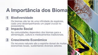 A Importância dos Biomas
1 Biodiversidade
Os biomas são lar de uma infinidade de espécies,
cada uma desempenhando um papel crucial no
ecossistema.
2 Impacto Social
As comunidades dependem dos biomas para a
alimentação, cultura e medicamentos tradicionais.
3 Crescimento Econômico
Os recursos naturais são a espinha dorsal de muitas
economias locais, sustentando diversos setores.
 