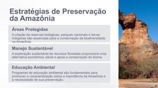 Estratégias de Preservação
da Amazônia
Áreas Protegidas
A criação de reservas biológicas, parques nacionais e terras
indígenas são essenciais para a conservação da biodiversidade
na Amazônia.
Manejo Sustentável
A exploração sustentável de recursos florestais proporciona uma
alternativa econômica viável e apoia a conservação do bioma.
Educação Ambiental
Programas de educação ambiental são fundamentais para
promover a conscientização sobre a importância da Amazônia e
a necessidade de sua preservação.
 