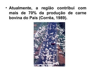 • Atualmente, a região contribui com
mais de 70% da produção de carne
bovina do País (Corrêa, 1989).
 