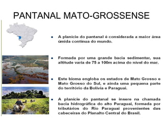 PANTANAL MATO-GROSSENSE
 