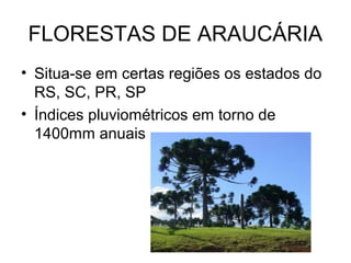 FLORESTAS DE ARAUCÁRIA
• Situa-se em certas regiões os estados do
RS, SC, PR, SP
• Índices pluviométricos em torno de
1400mm anuais
 