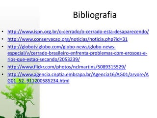 Bibliografia
• http://www.ispn.org.br/o-cerrado/o-cerrado-esta-desaparecendo/
• http://www.conservacao.org/noticias/noticia.php?id=31
• http://globotv.globo.com/globo-news/globo-news-
  especial/v/cerrado-brasileiro-enfrenta-problemas-com-erosoes-e-
  rios-que-estao-secando/2053239/
• http://www.flickr.com/photos/nclmartins/5089315529/
• http://www.agencia.cnptia.embrapa.br/Agencia16/AG01/arvore/A
  G01_52_911200585234.html
 