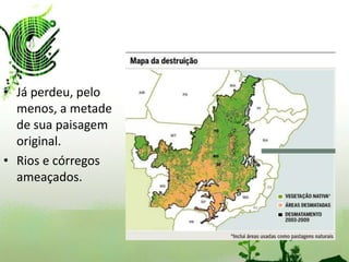 • Já perdeu, pelo
  menos, a metade
  de sua paisagem
  original.
• Rios e córregos
  ameaçados.
 