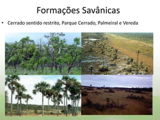 Formações Savânicas
• Cerrado sentido restrito, Parque Cerrado, Palmeiral e Vereda
 