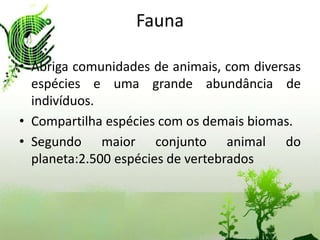 Fauna

• Abriga comunidades de animais, com diversas
  espécies e uma grande abundância de
  indivíduos.
• Compartilha espécies com os demais biomas.
• Segundo maior conjunto animal do
  planeta:2.500 espécies de vertebrados
 