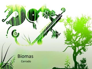 Biomas
 Cerrado
 