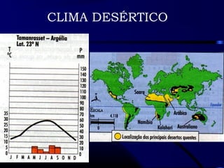 CLIMA DESÉRTICO 
 