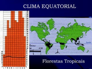CLIMA EQUATORIAL 
Florestas Tropicais 
 