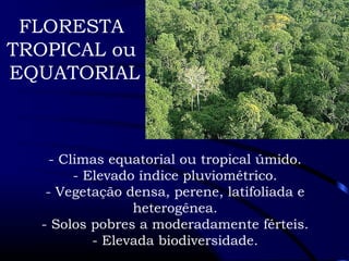 FLORESTA 
TROPICAL ou 
EQUATORIAL 
- Climas equatorial ou tropical úmido. 
- Elevado índice pluviométrico. 
- Vegetação densa, perene, latifoliada e 
heterogênea. 
- Solos pobres a moderadamente férteis. 
- Elevada biodiversidade. 
 