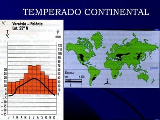 TEMPERADO CONTINENTAL 
 