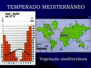 TEMPERADO MEDITERRÂNEO 
Vegetação mediterrânea 
 