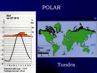 POLAR 
Tundra 
 