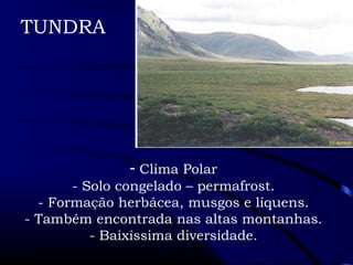 TUNDRA 
- Clima Polar 
- Solo congelado – permafrost. 
- Formação herbácea, musgos e líquens. 
- Também encontrada nas altas montanhas. 
- Baixíssima diversidade. 
 