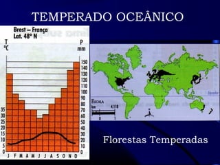 TEMPERADO OCEÂNICO 
Florestas Temperadas 
 