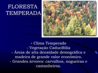 FLORESTA 
TEMPERADA 
- Clima Temperado 
- Vegetação Caducifólia 
- Áreas de alta densidade demográfica e 
madeira de grande valor econômico. 
- Grandes árvores: carvalhos, nogueiras e 
castanheiros. 
 