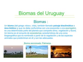Biomas del Uruguay
Biomas :
Un bioma (del griego «bios», vida), también llamado paisaje bioclimático o
área biótica (y que no debe confundirse con una ecosonda o una ecorregión),
es una determinada parte del planeta que comparte clima, vegetación y fauna.
Un bioma es el conjunto de ecosistemas característicos de una zona
biogeográfica que es nombrado a partir de la vegetación y de las especies
animales que predominan en él y son las adecuadas.
Bioma seccionado: Palmares
 