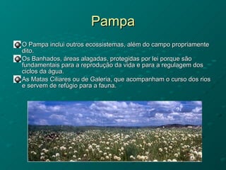 Pampa O Pampa inclui outros ecossistemas, além do campo propriamente dito.  Os Banhados, áreas alagadas, protegidas por lei porque são fundamentais para a reprodução da vida e para a regulagem dos ciclos da água.  As Matas Ciliares ou de Galeria, que acompanham o curso dos rios e servem de refúgio para a fauna. 