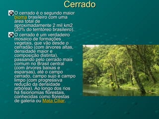 Cerrado O cerrado é o segundo maior  bioma  brasileiro com uma área total de aproximadamente 2 mil km2 (20% do territóreo brasileiro). O cerrado é um verdadeiro mosaico de formações vegetais, que vão desde o cerradão (com árvores altas, densidade maior e composição distinta), passando pelo cerrado mais comum no Brasil central (com árvores baixas e esparsas), até o campo cerrado, campo sujo e campo limpo (com progressiva redução da densidade arbórea). Ao longo dos rios há fisionomias florestais, conhecidas como florestas de galeria ou  Mata Ciliar . 