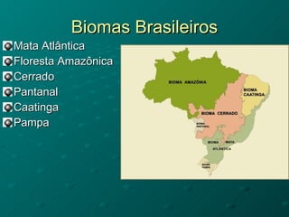 Biomas Brasileiros Mata Atlântica Floresta Amazônica Cerrado Pantanal Caatinga Pampa 